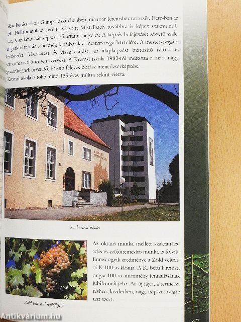 Az osztrák szőlő-, borszabályozás sajátosságai 2010