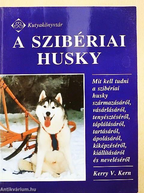 A szibériai Husky