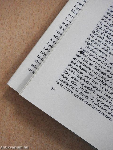 A szerelmes Voltaire