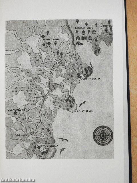 Ahol a folyami rákok énekelnek