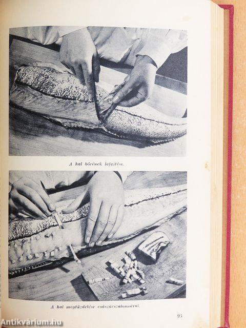 A Pesti Hirlap szakácskönyve