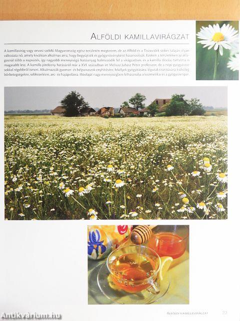 Hungarikumok könyve