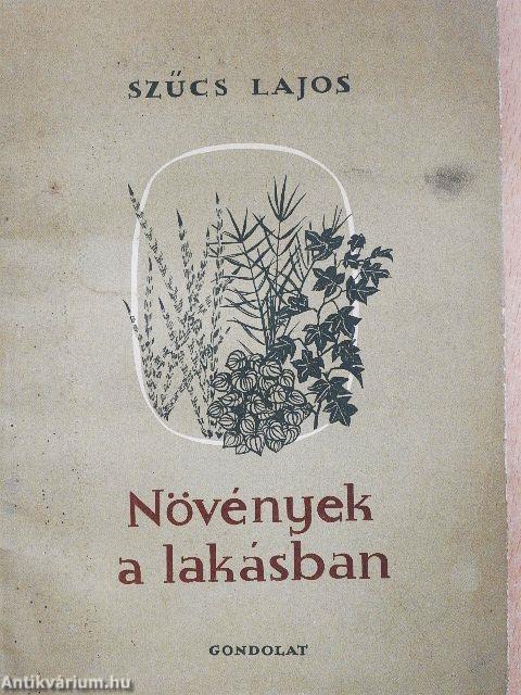 Növények a lakásban