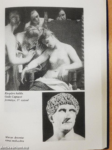 Erős asszonyok-gyönge férfiak