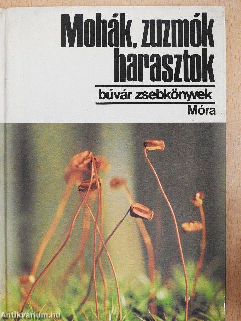 Mohák, zuzmók, harasztok