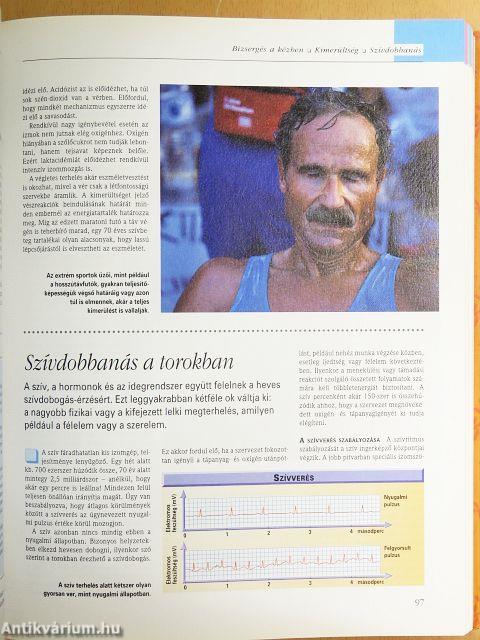 A csodálatos emberi test