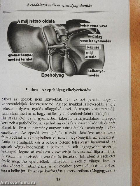 A csodálatos máj- és epehólyag tisztítás