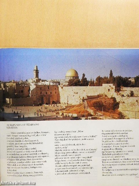 A hely, ahol állsz, Szent Föld