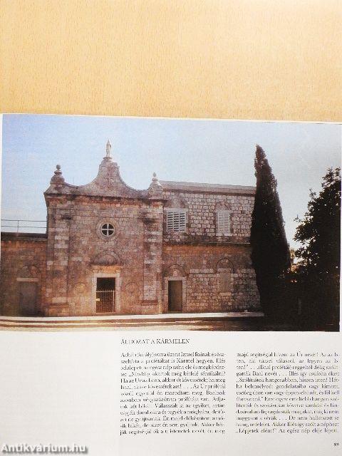 A hely, ahol állsz, Szent Föld