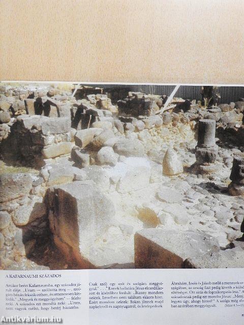 A hely, ahol állsz, Szent Föld