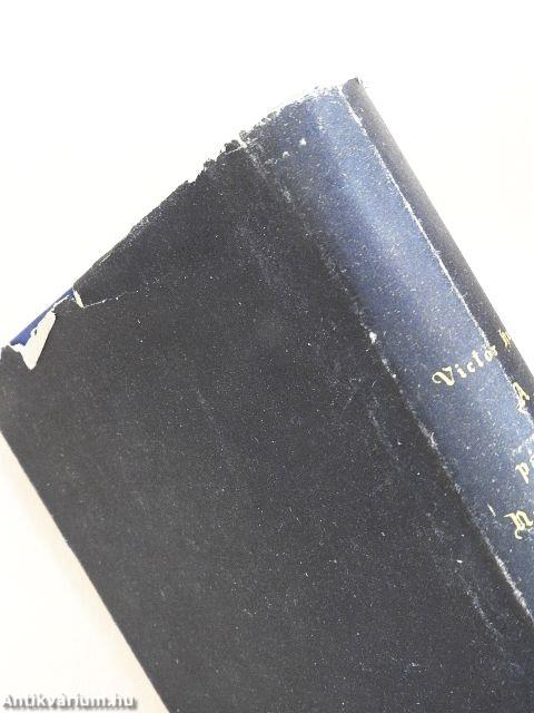 A párizsi Notre-Dame