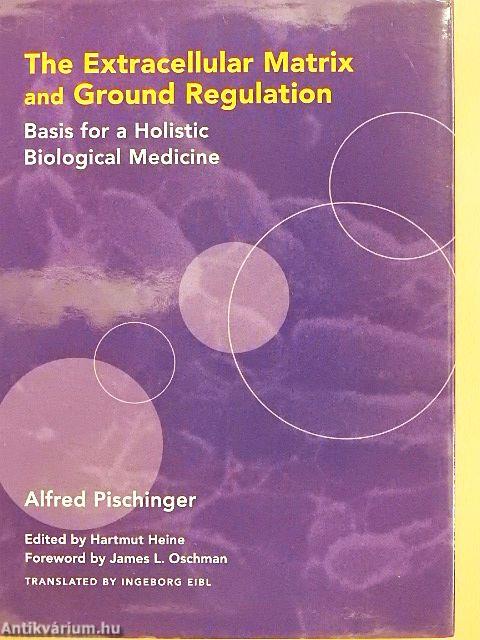 The Extracellular Matrix and Ground Regulation