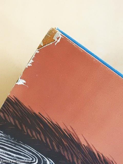 Óceánia művészete