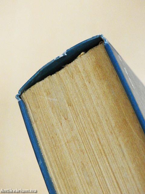 Magyar-olasz szótár