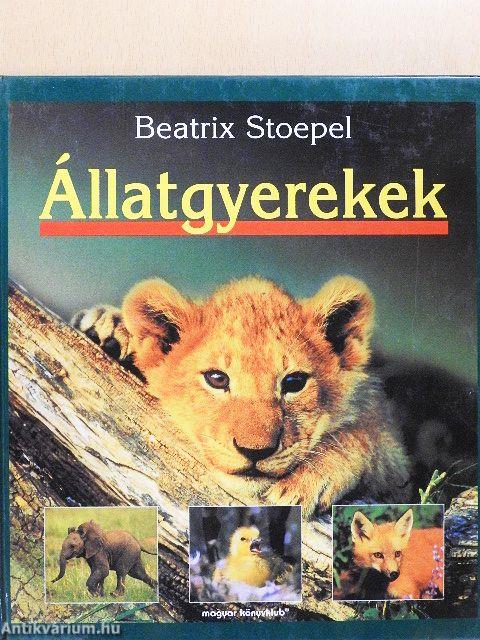 Állatgyerekek