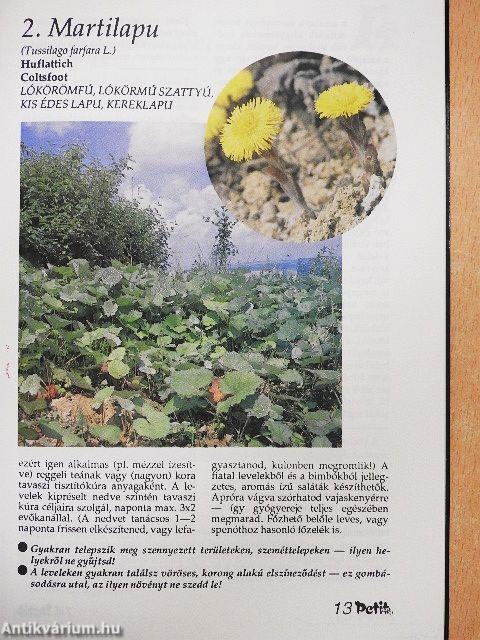 Herbárium, avagy keresd a magad gyógyfüvét!