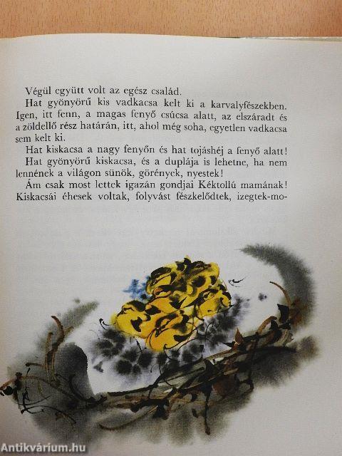 A pórul járt vipera