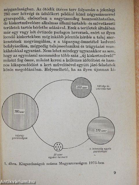 A kiskertek talaja