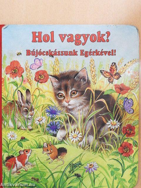 Hol vagyok?