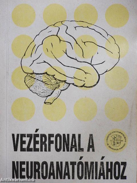 Vezérfonal a neuroanatómiához