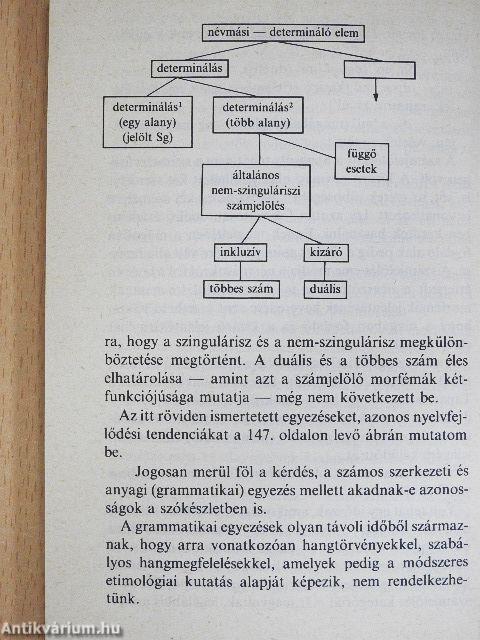 Nyelvek bölcsőjénél