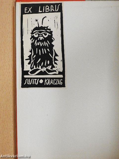 Párbeszéd a szenttel