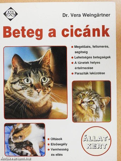 Beteg a cicánk