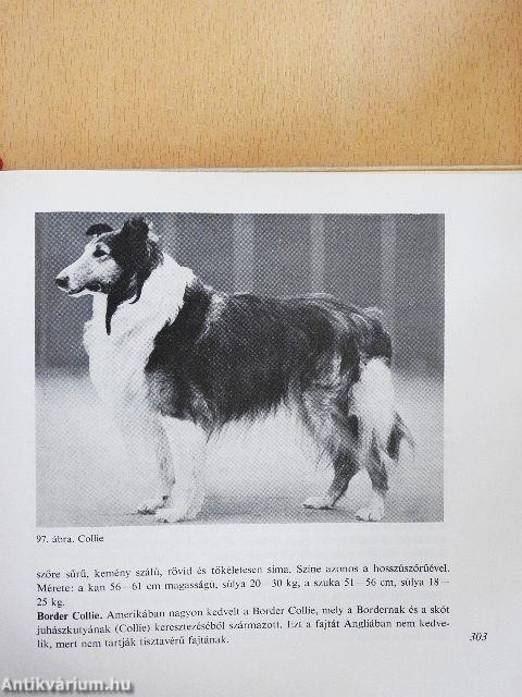 A kutya tenyésztése, tartása, kiképzése