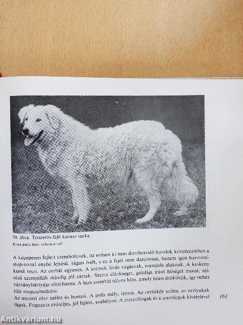 A kutya tenyésztése, tartása, kiképzése