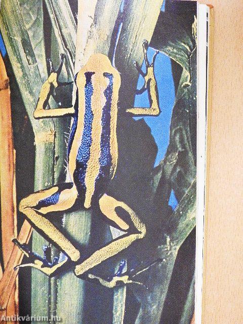 Különös állatvilág