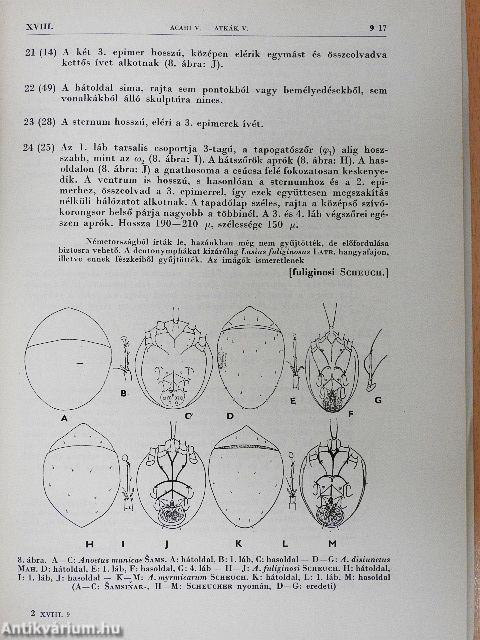 Atkák V.-Acari V.