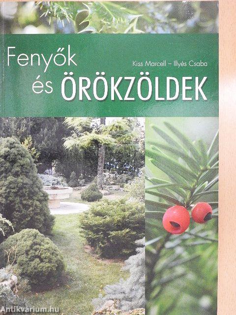 Fenyők és örökzöldek