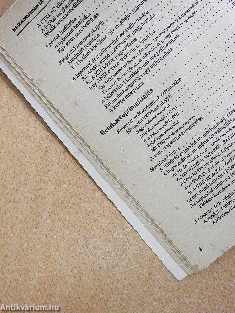 MS DOS 5.0 és kapcsolata a Windows 3.0-val/A Qbasic I. (töredék)