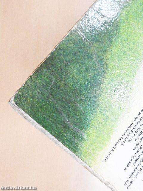 Hinta-palinta, tíz arany alma