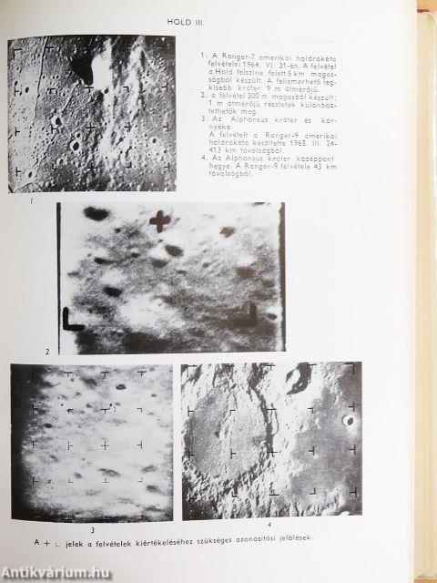 Természettudományi lexikon 1-7.