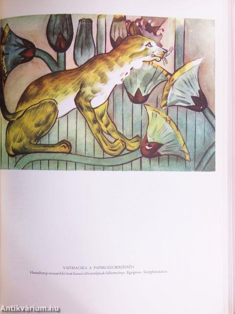 Világtörténet 1-10.