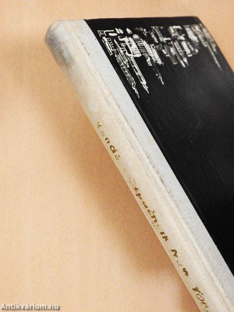 Szputnyik New York felett