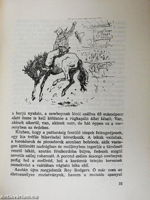 Szputnyik New York felett