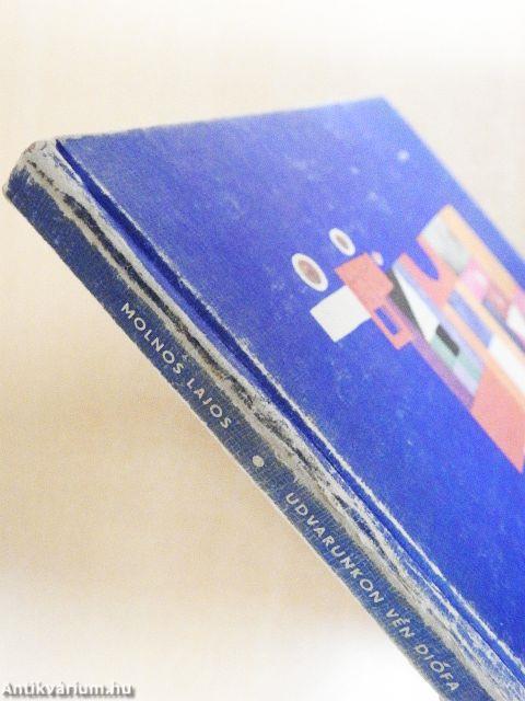 Udvarunkon vén diófa