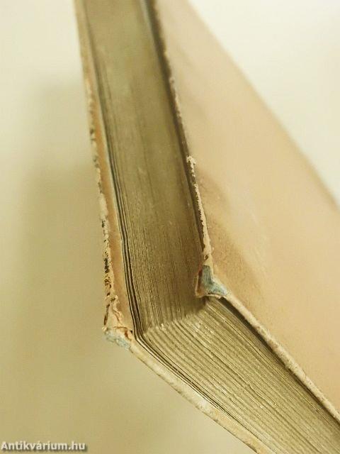 Egy magyar fiú Kongóban