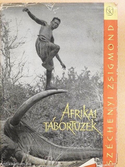 Afrikai tábortüzek