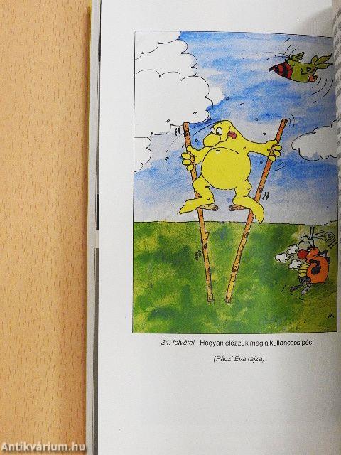 Kullancsok és betegségek