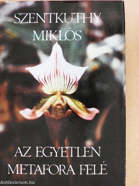 Az egyetlen metafora felé