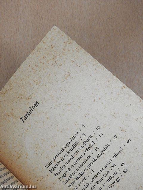 Pálmasor Opatijában