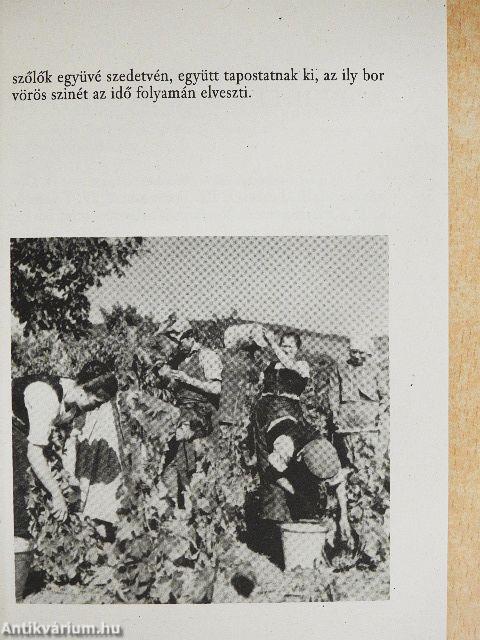 Könyvecske Magyarország borvidékeinek tanulmányozásához