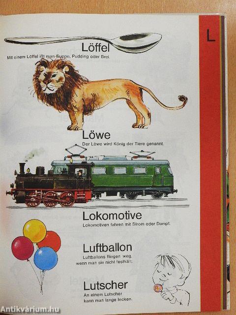 Mein buntes Bilderwörterbuch