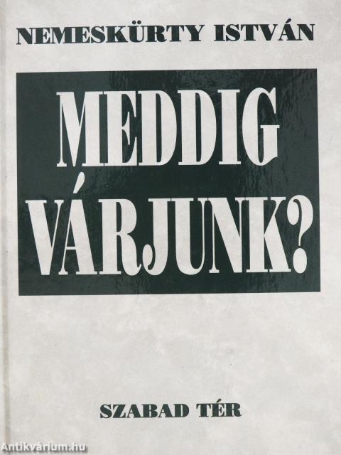 Meddig várjunk? (dedikált példány)