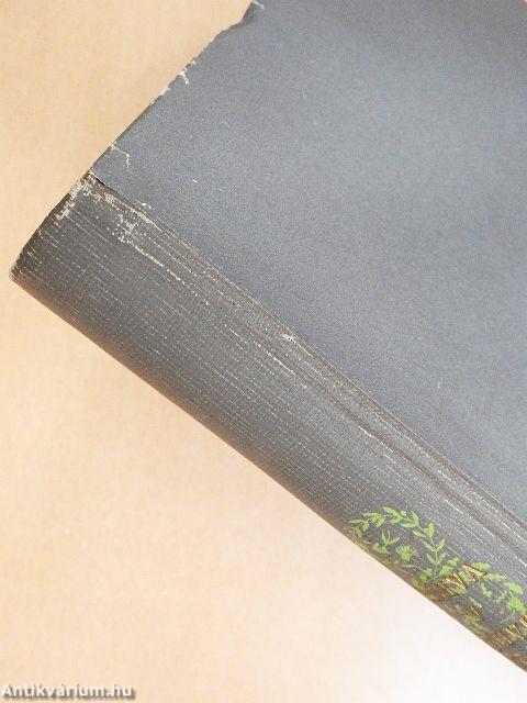 Tavaszi madár a varju