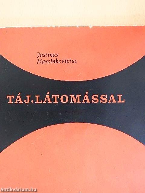 Táj, látomással