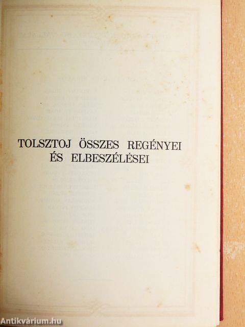 Ifjuságom regénye I-III./Családi boldogság